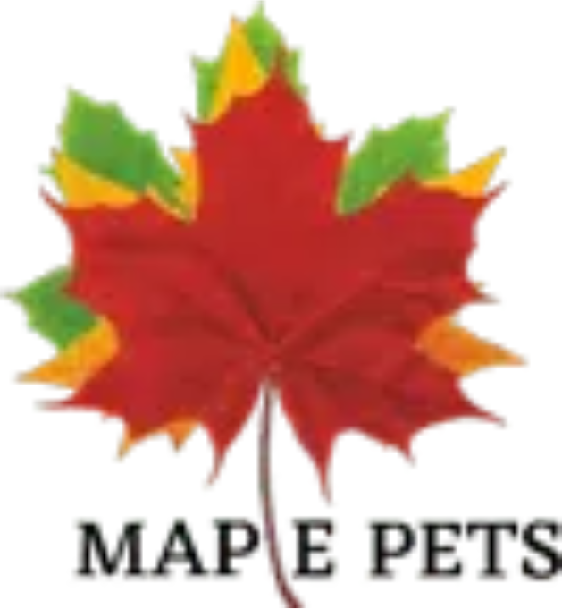 logo-l-8