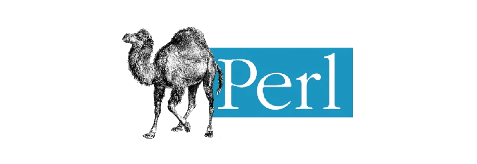 Perl Programming Language