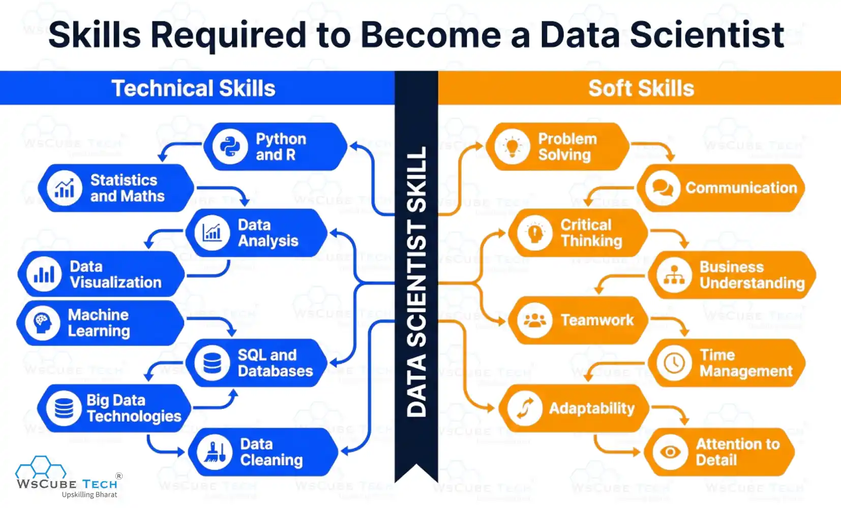 Data Scientist Skills
