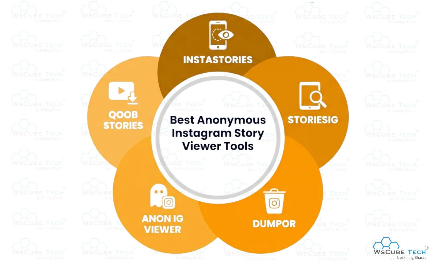 Best Anonymous Instagram Story Viewer Tools