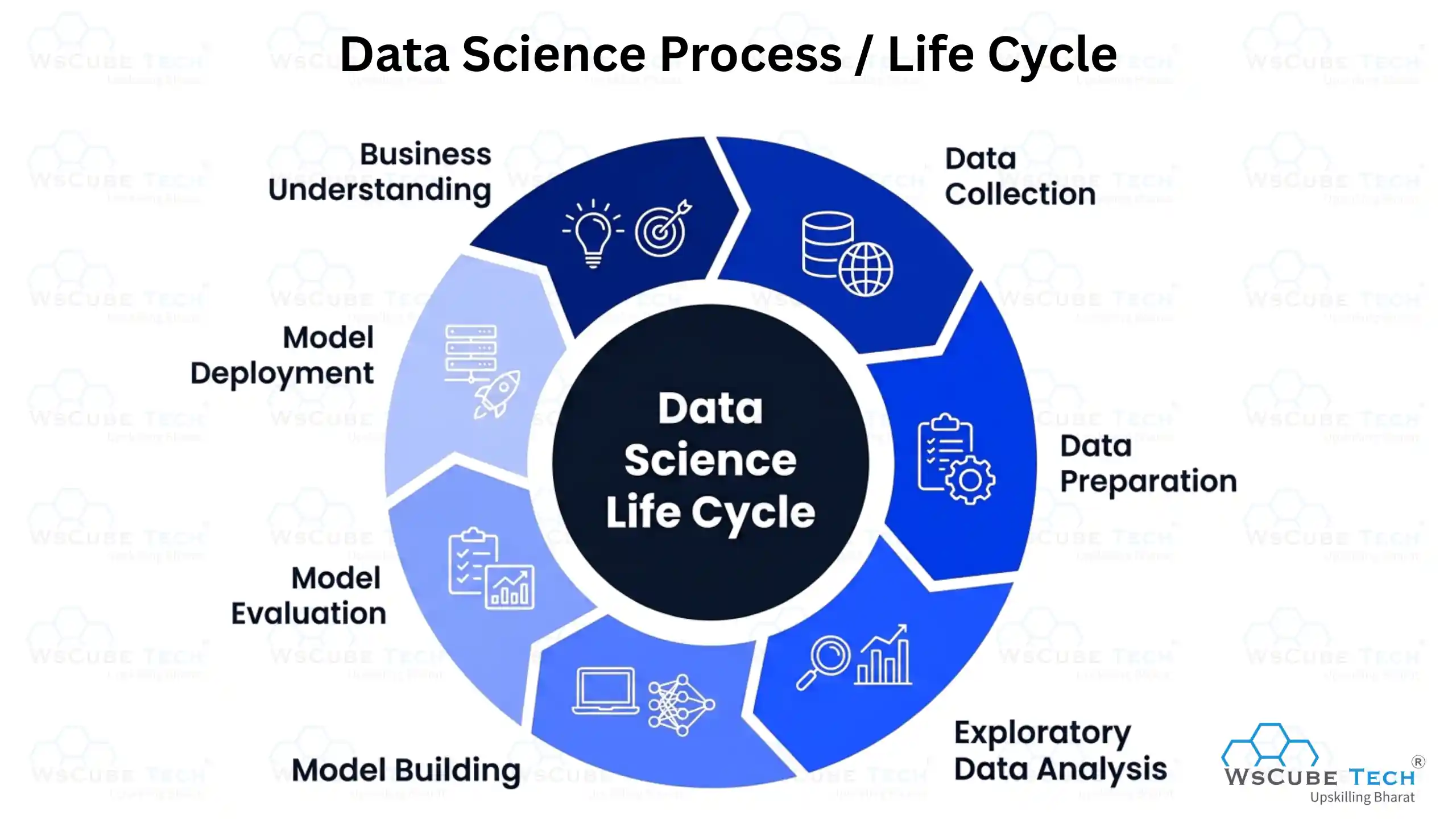 Data Science Process / Life Cycle