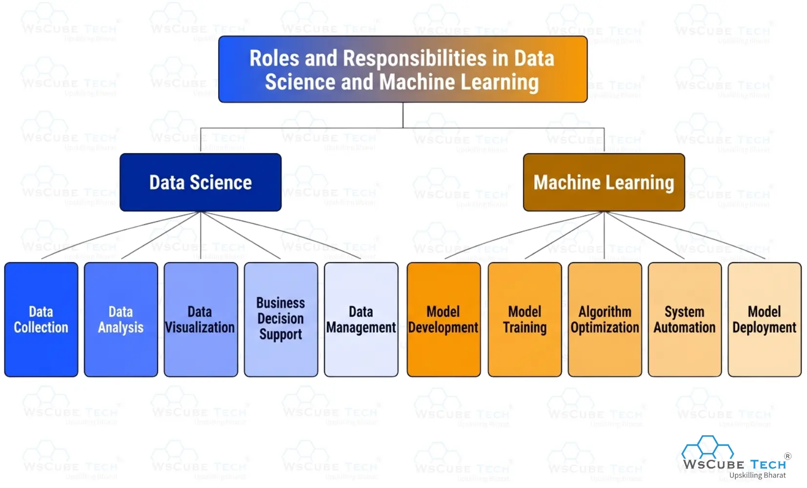 Roles and Responsibilities in Data Science and Machine Learning