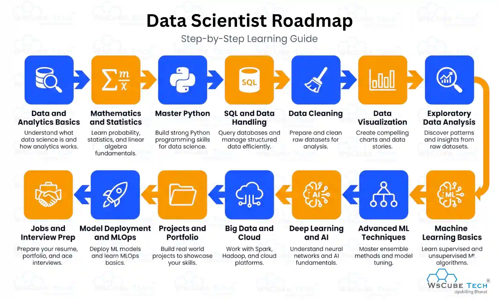 Data Scientist Roadmap: Step-by-Step Learning Guide